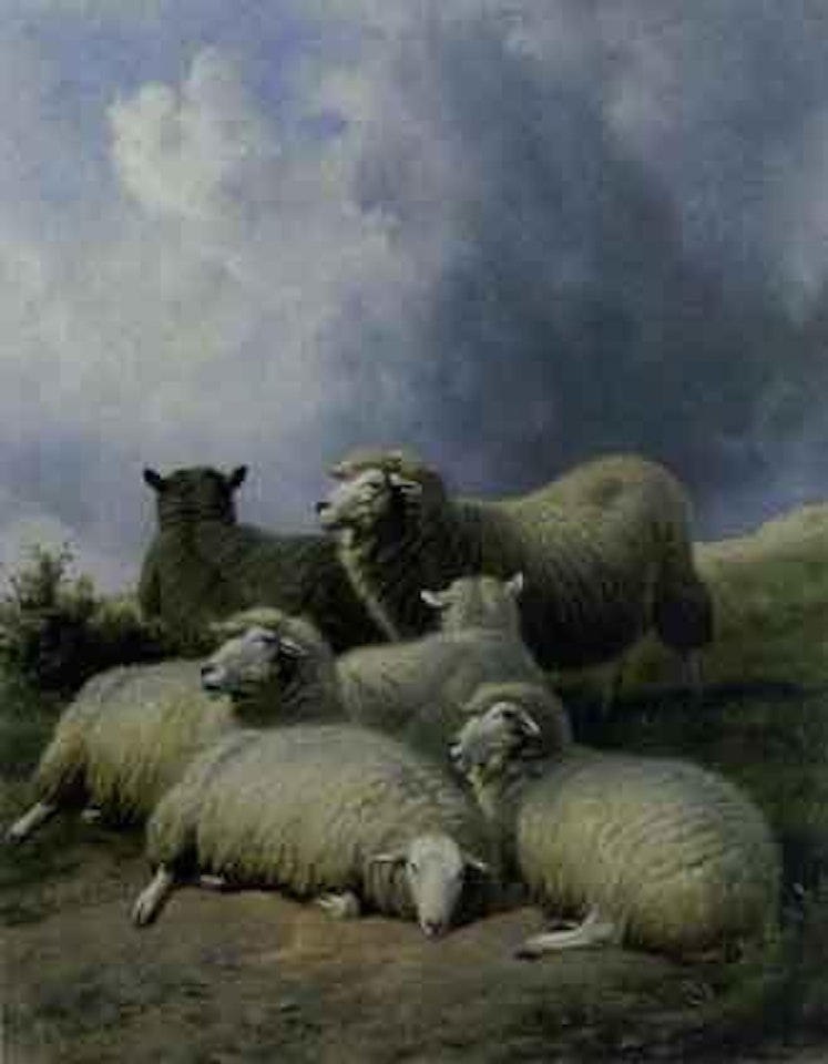 Sheep resting in a landscape by Thomas Sidney Cooper