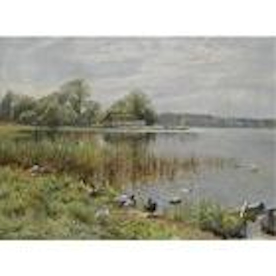Ducks by a pond by Peder Mork Monsted