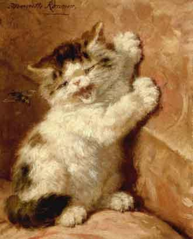 A kitten with a wasp by Henriette Ronner-Knip