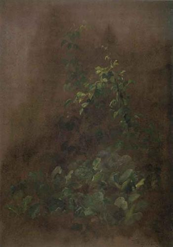 Plant study by Carl Spitzweg