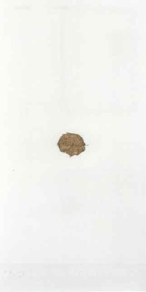 Suite circulation time by Joseph Beuys