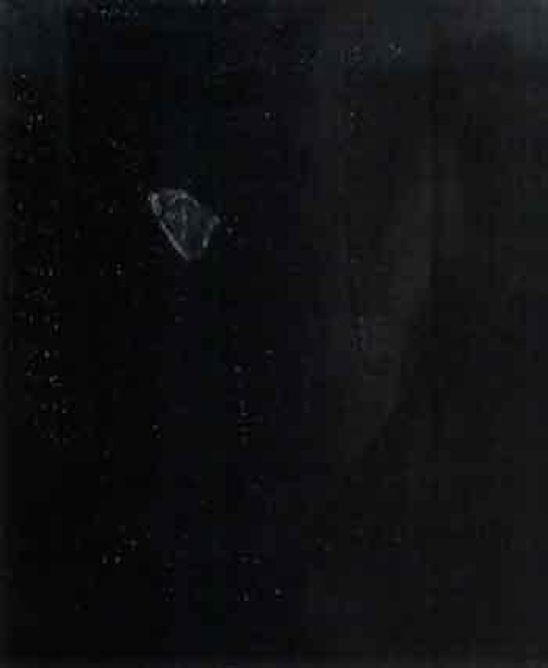 The mouse - by Sigmar Polke