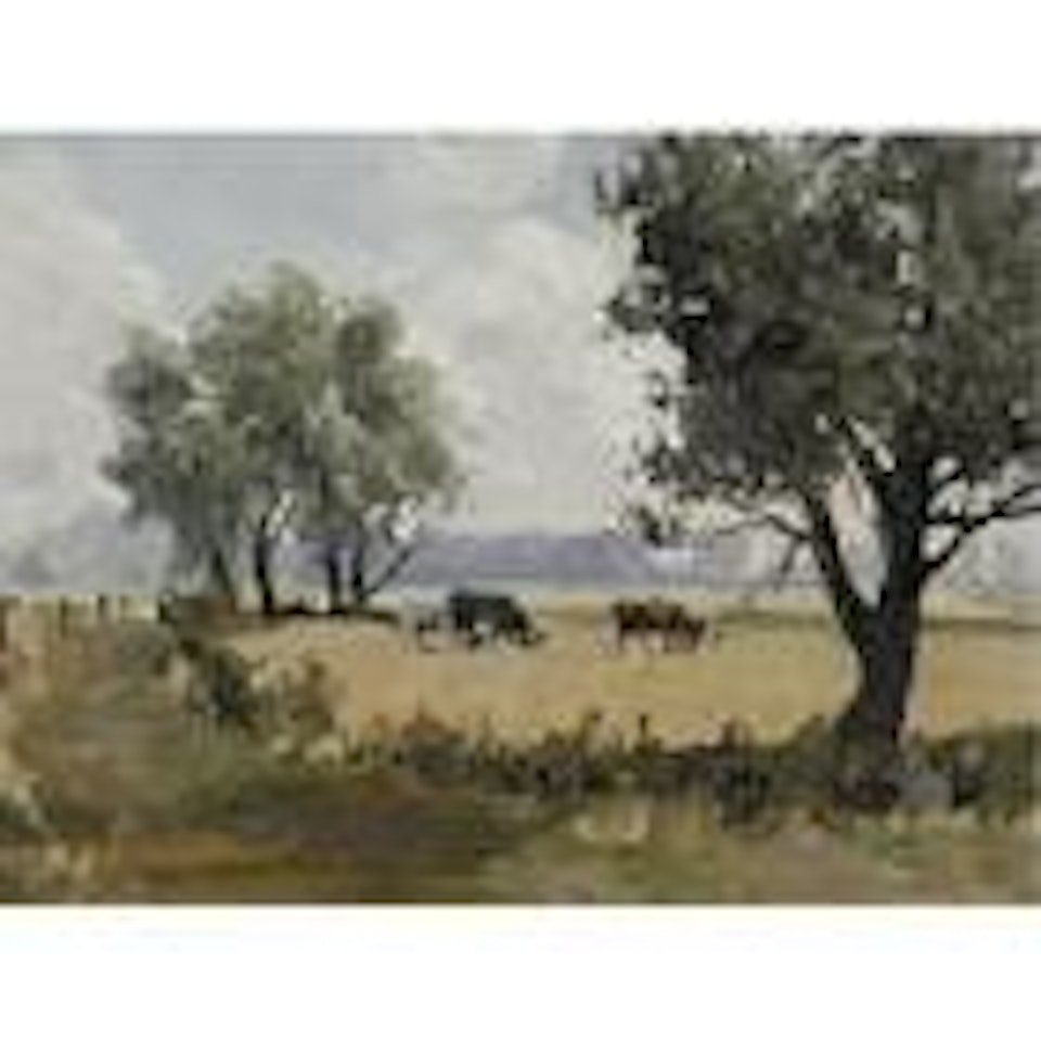 Three cows in a pasture by Campbell Mellon