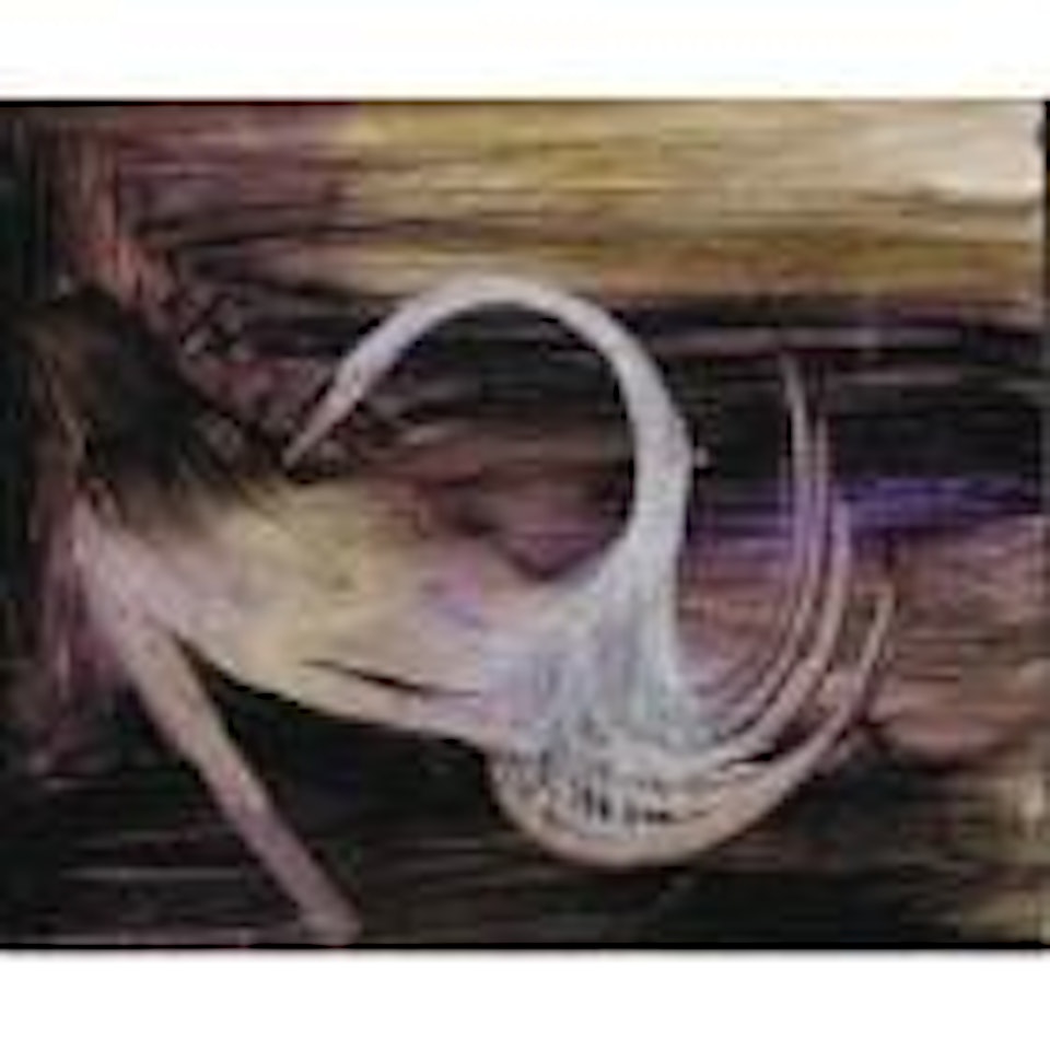 Leda and the Swan by Sidney Nolan