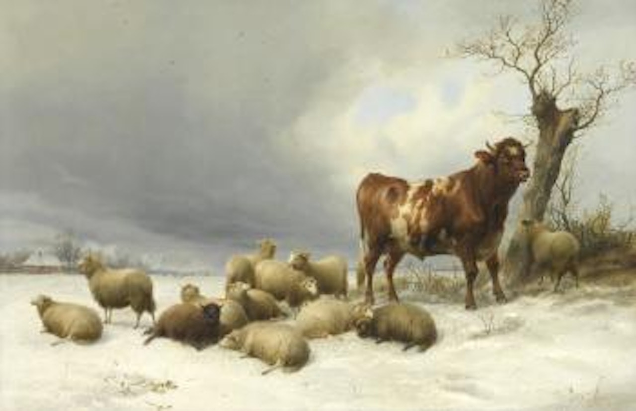 Bull and sheep in a winter landscape, possibly Canterbury Meadows by Thomas Sidney Cooper