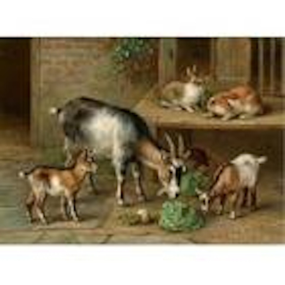Rabbits and goats at feeding time by Edgar Hunt