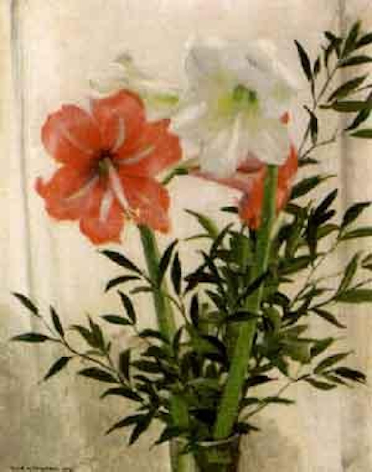 Still life of amaryllis by Olle Hjortzberg