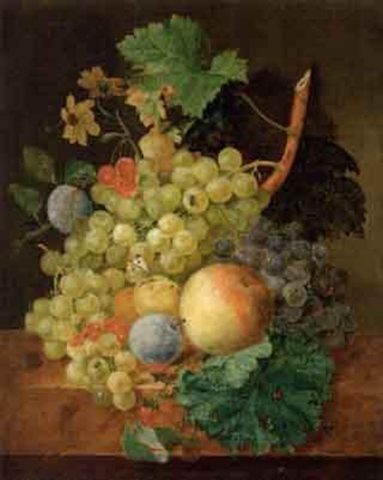 Still life of fruit and green grapes by Jean François Eliaerts