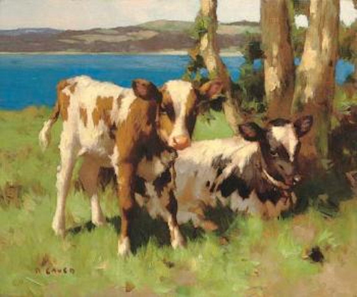 Calves in a meadow by David Gauld