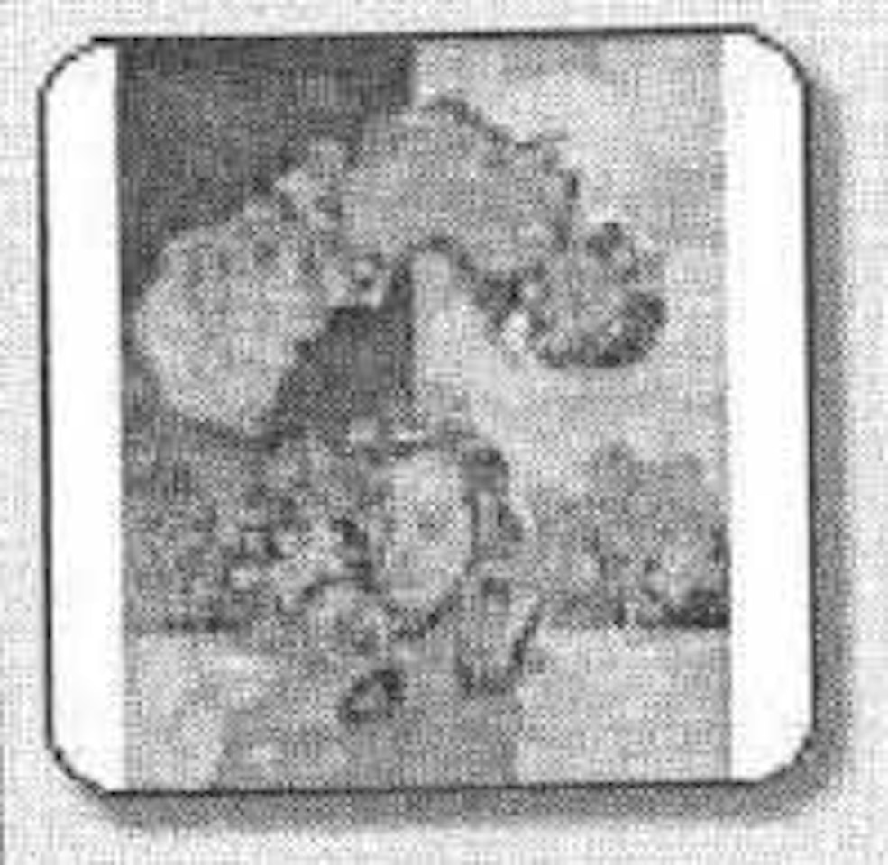 Les deux ciels, autoportrait by Sakti Burman