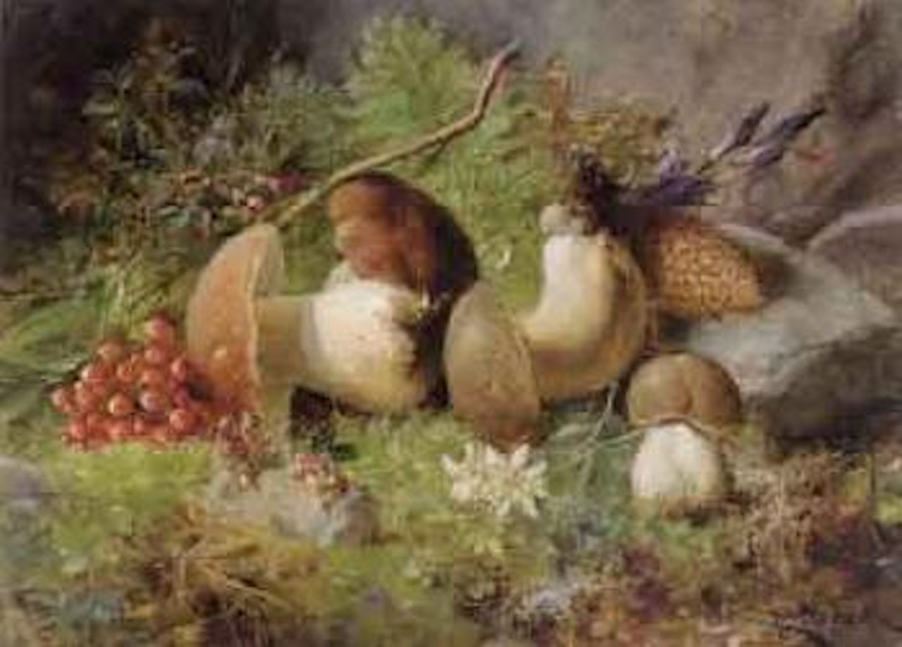 Mushrooms by Hans Zatzka