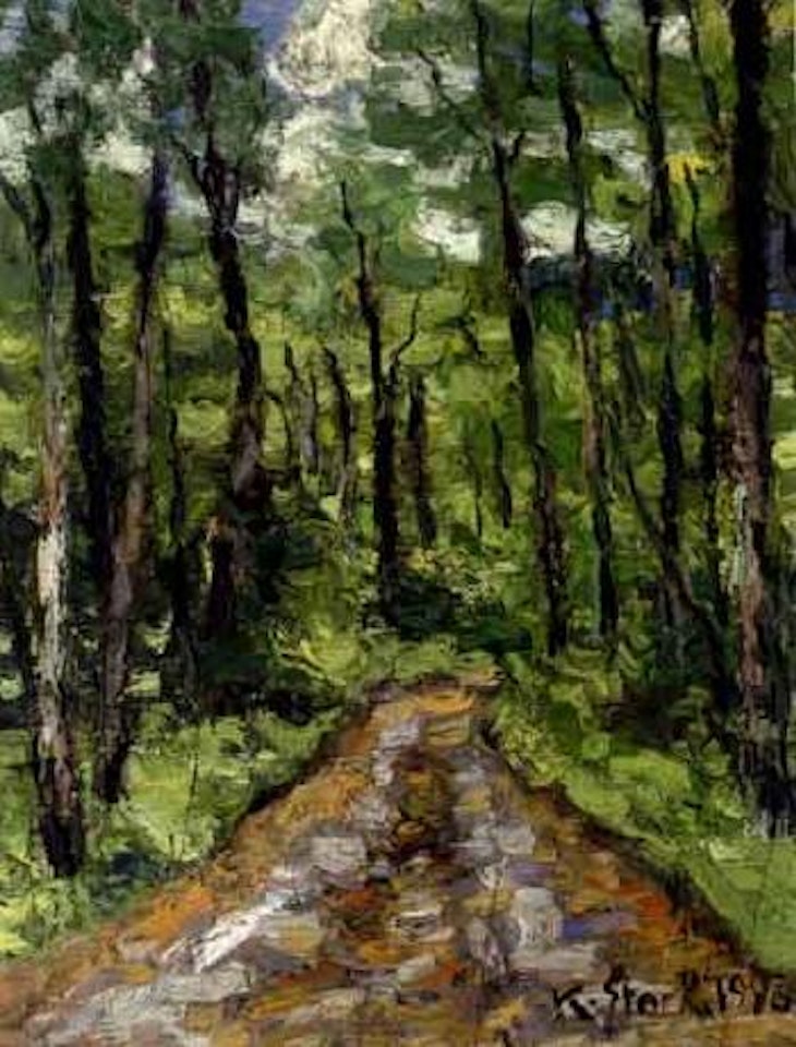 Forest path by Karl Stark