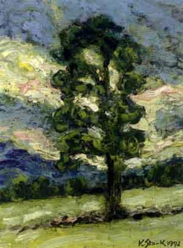 Evening landscape with a beech tree by Karl Stark