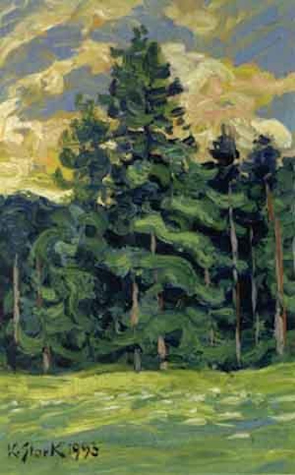 Fir trees in evening light by Karl Stark