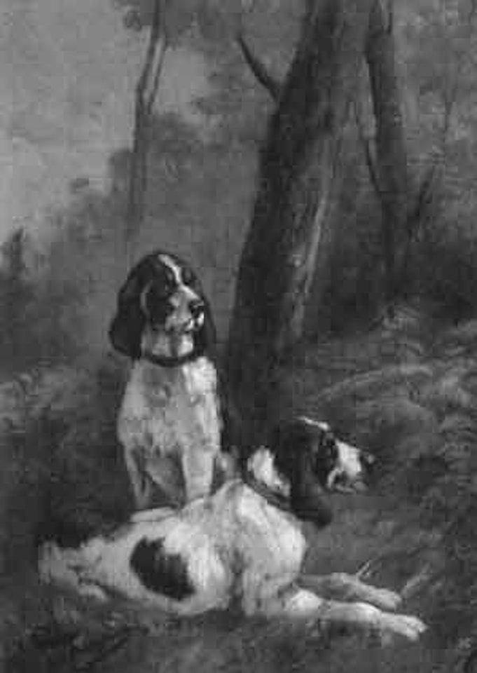 Le repos des chiens by Olivier de Penne