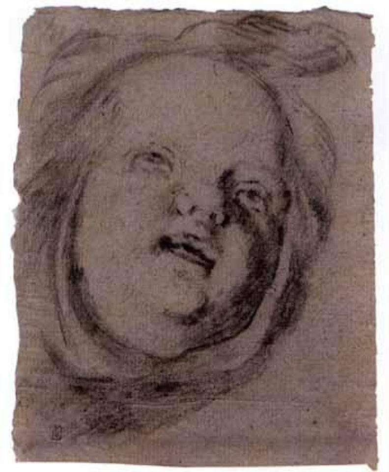 Head of putto by Giovanni Battista Tiepolo