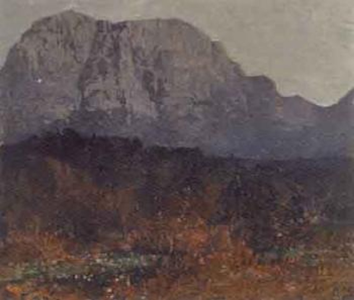 Table Mountain, view from Wynberg by Robert Gwelo Goodman