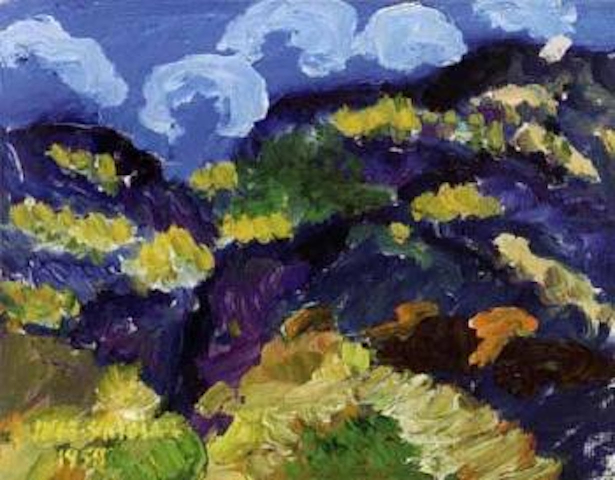 Flowers on cliffs by Inge Schiöler