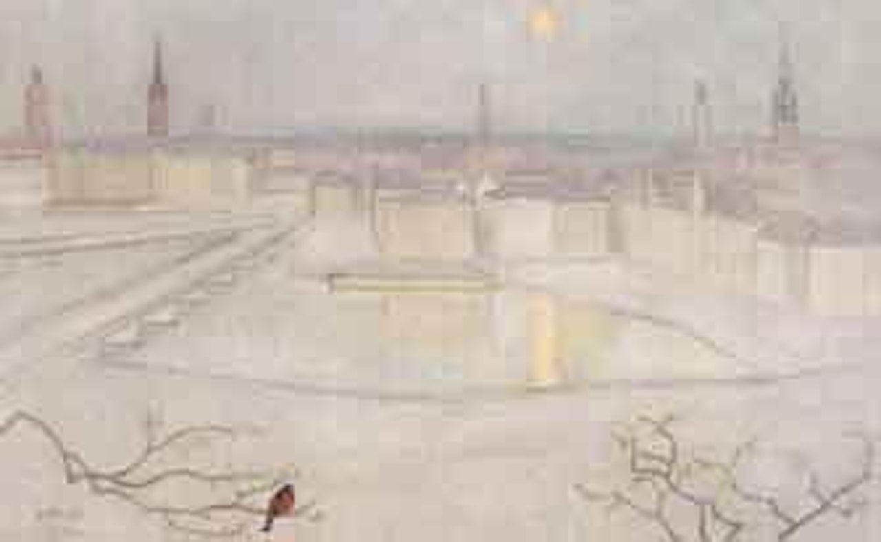 View from Mosebacke Market by Einar Jolin