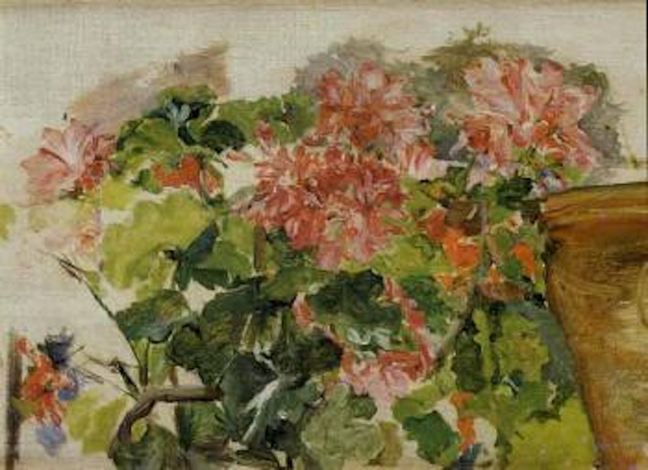 Study of flowers by Joaquin Sorolla Y Bastida