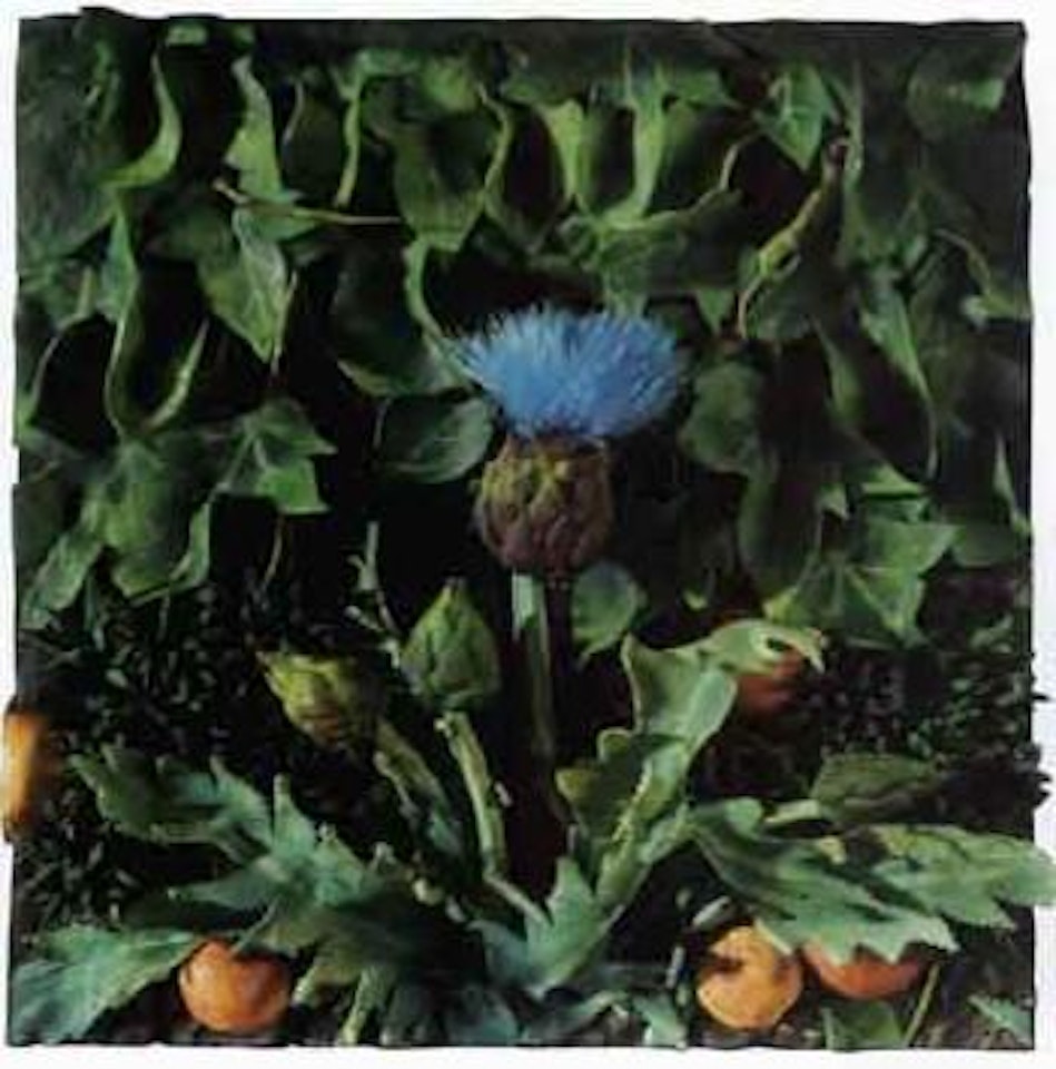 Artichokes by Piero Gilardi