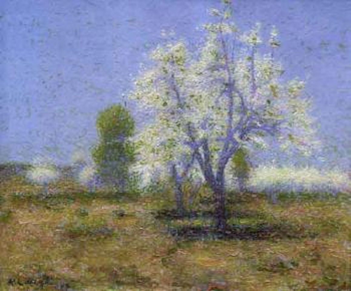 Verger en fleurs by Achille Laugé
