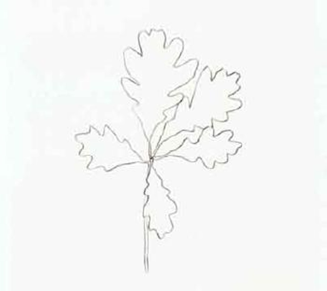 Oak by Ellsworth Kelly