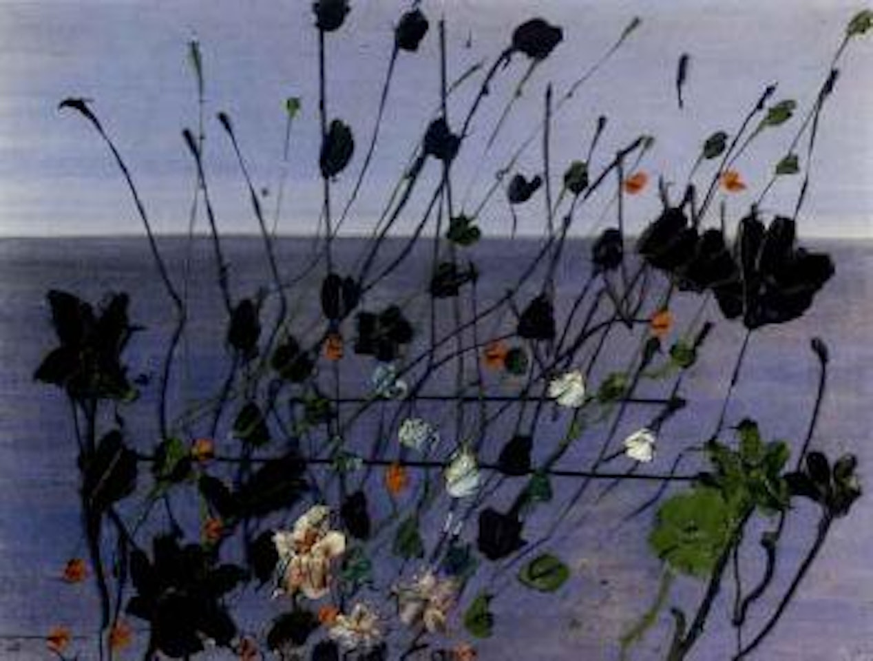 Fleurs by Thanos Tsingos