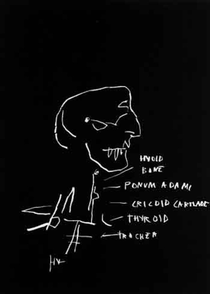 Anatomy by Jean-Michel Basquiat