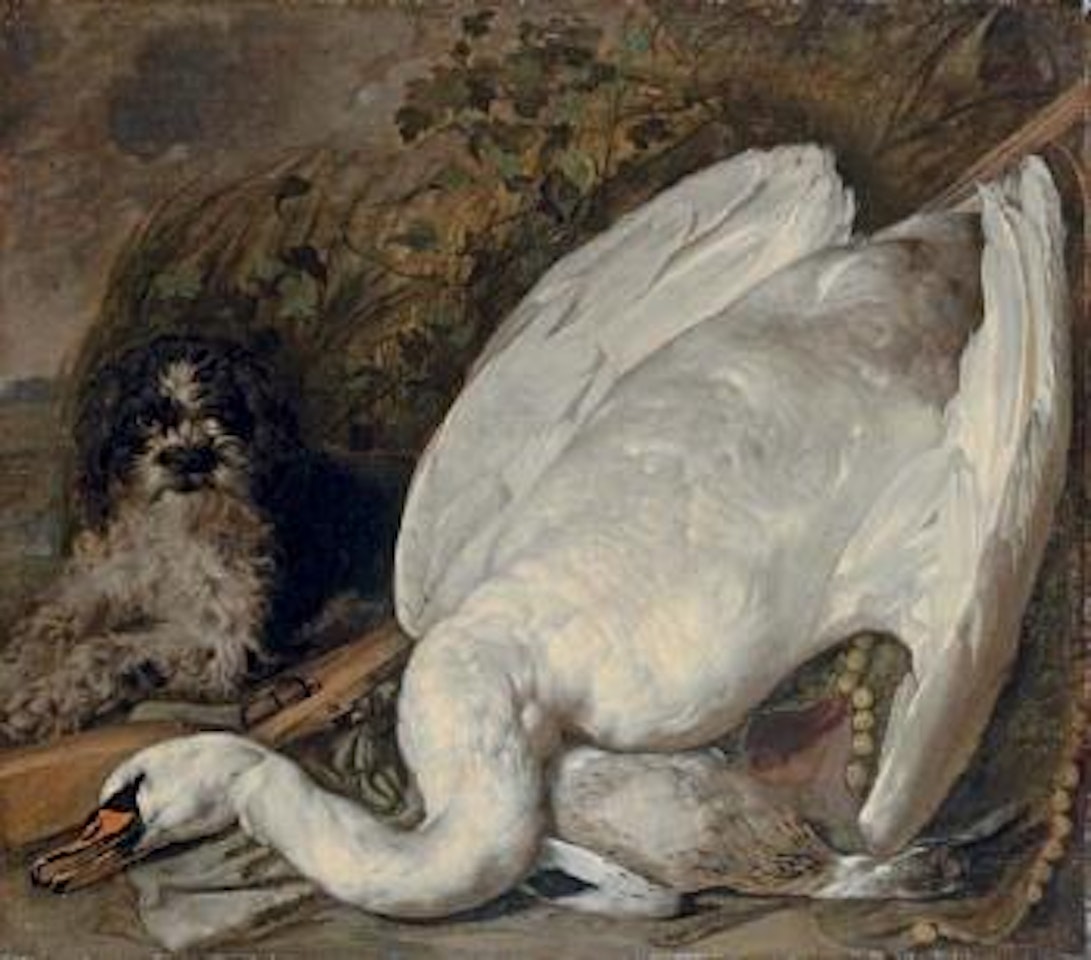 Hunting still life with a swan, a duck and a dog, with instruments of the chase by Jan Van Kessel The Elder