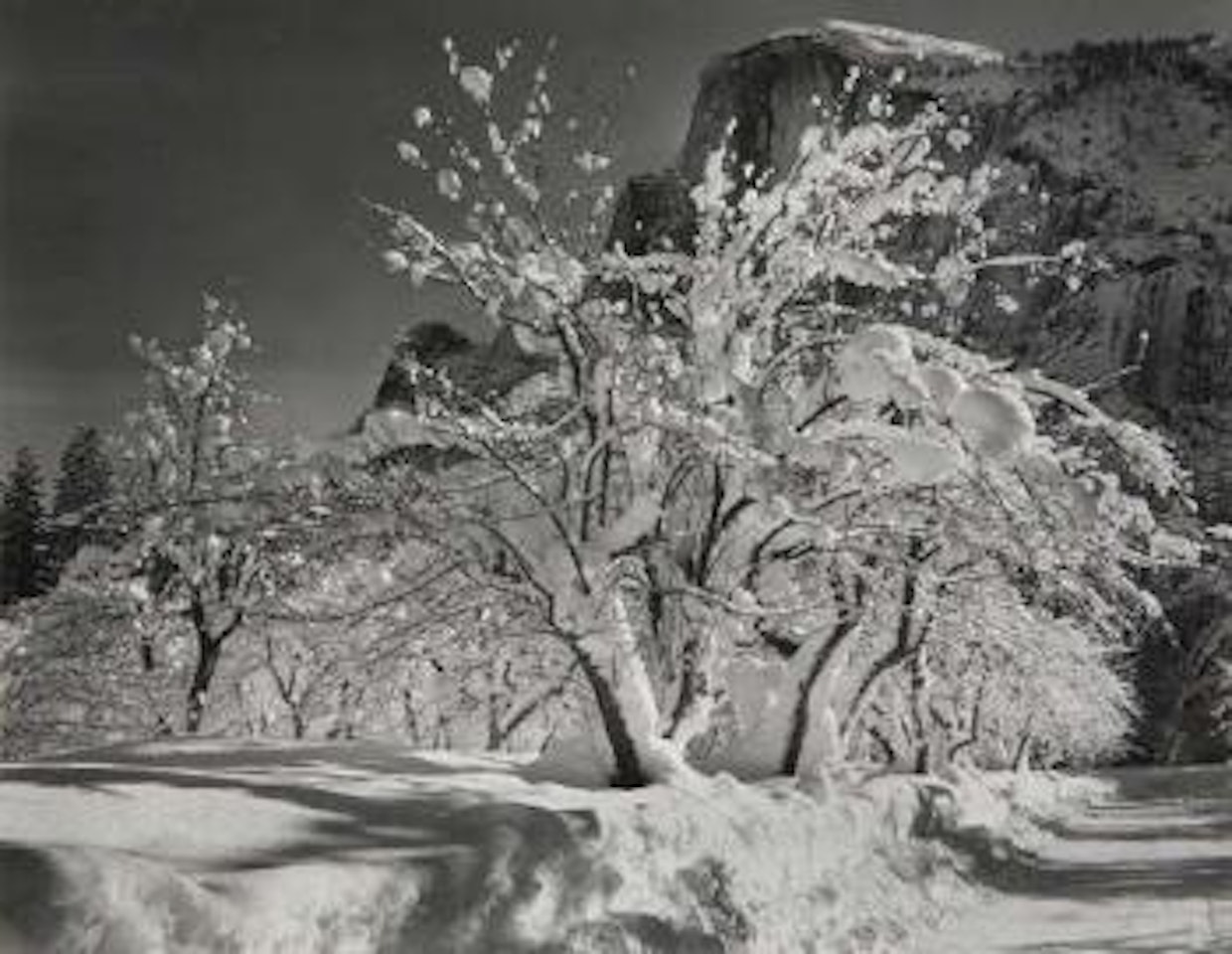 Winter Yosemite Valley by Ansel Adams
