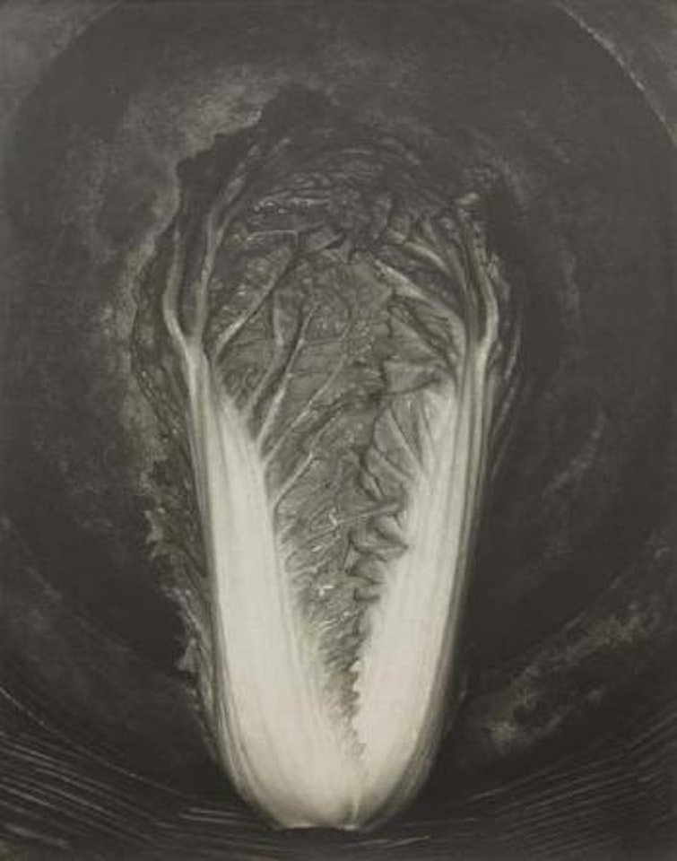Chard by Edward Weston