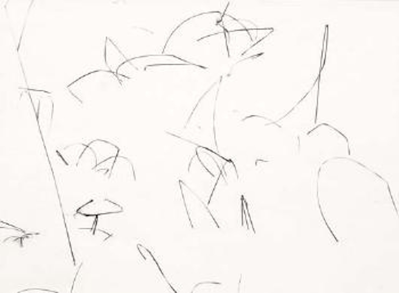 Weeds in snow, Detroit by Harry Callahan