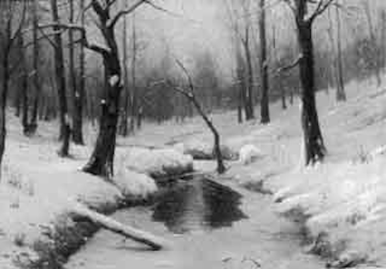 Landscape with stream in winter by Walter Moras