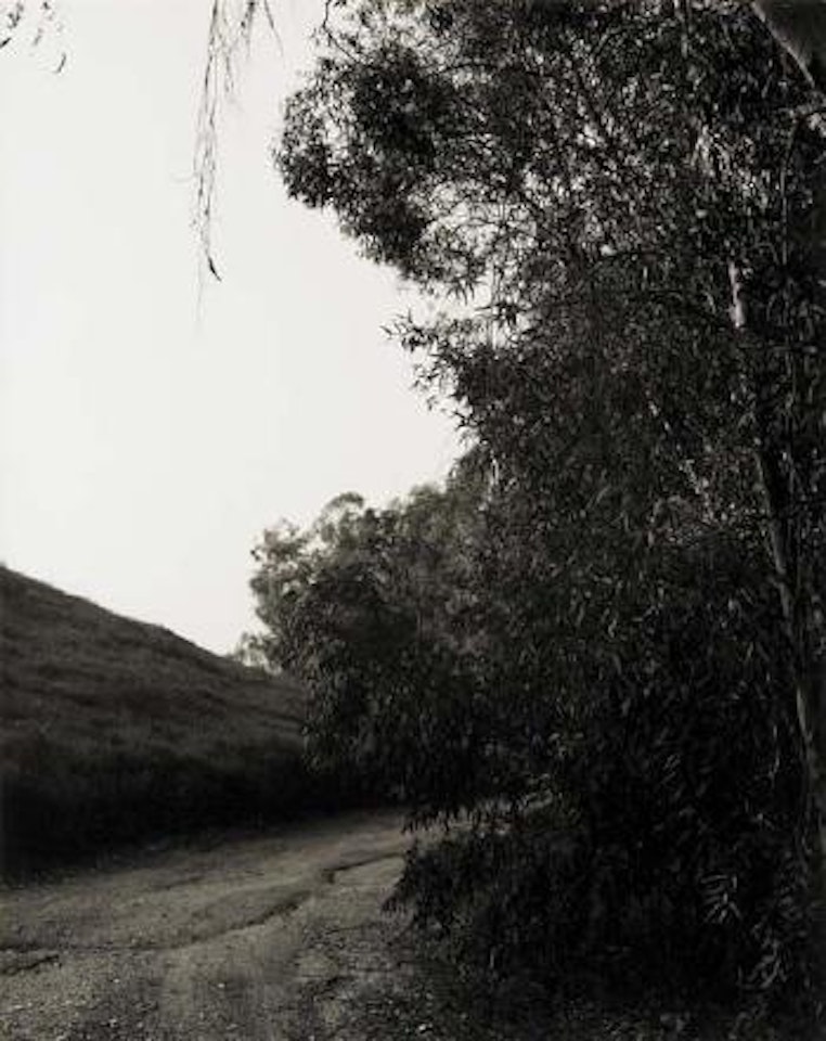 Near Interstate 10, Redlands, California by Robert Adams