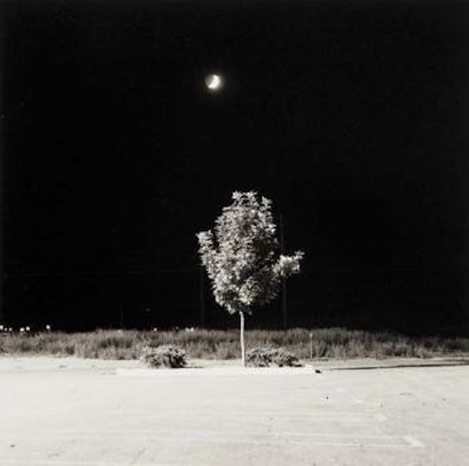 Fort Collins, Colorado by Robert Adams