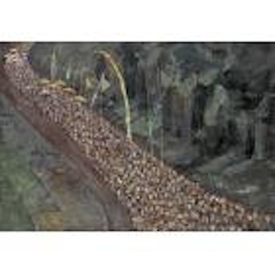 Ceremonial procession by Haji Widayat