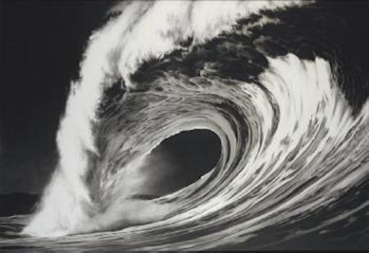 Untitled (Skull Island) by Robert Longo