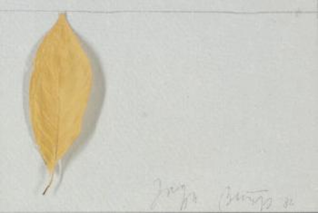 Untitled (Leaf) by Joseph Beuys