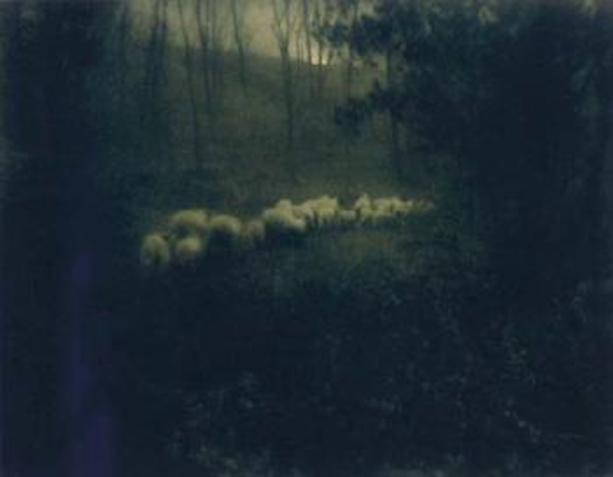 Pastoral - Moonlight by Edward Steichen