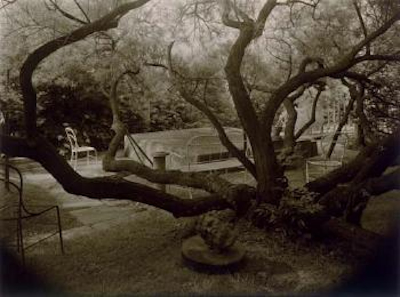 Untitled, from A Walk in the Magic Garden by Josef Sudek