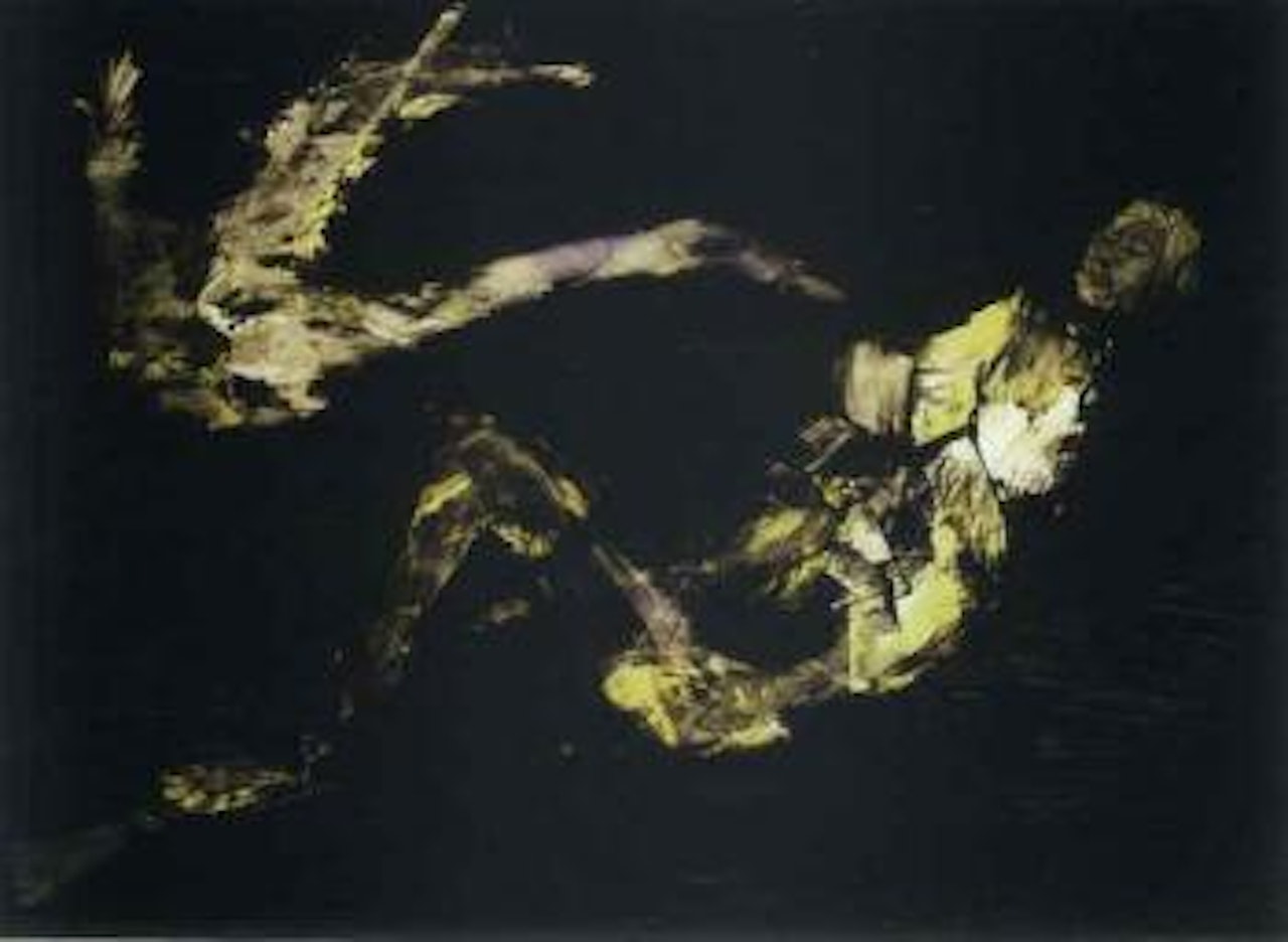 Leda and swan by Sidney Nolan