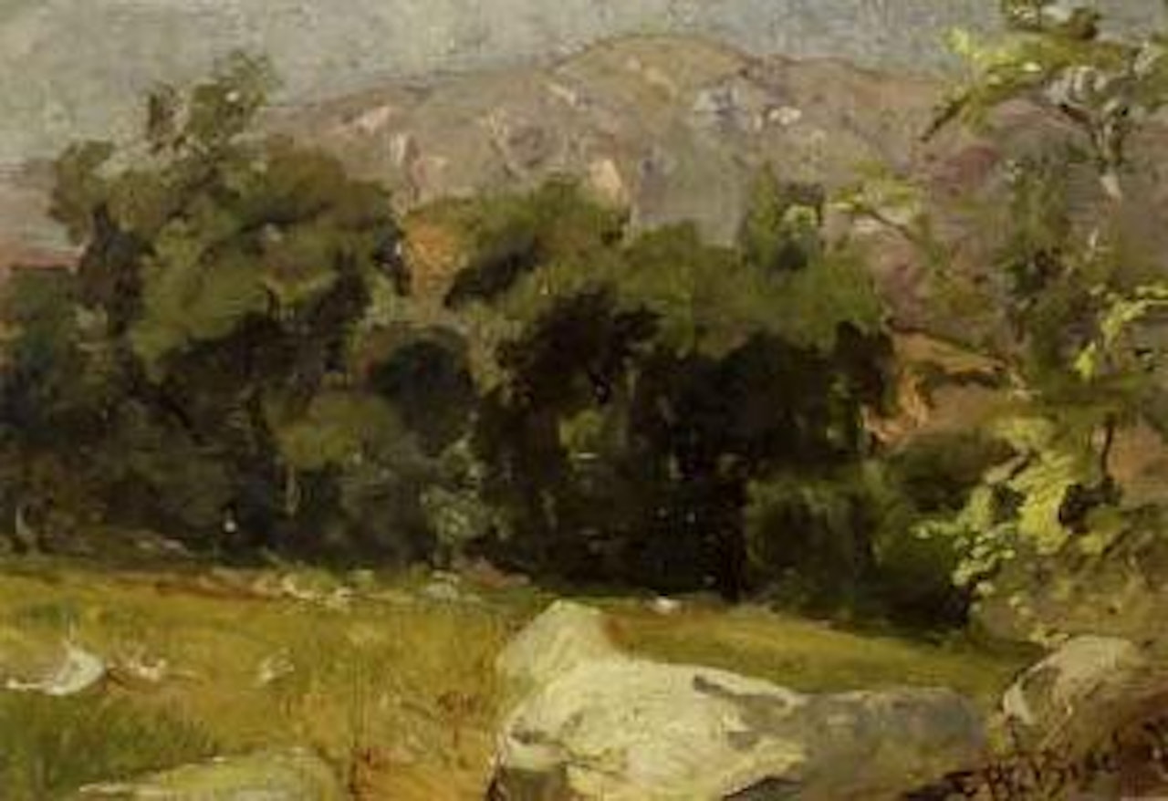 Landscape with yellow rock by Franz A Bischoff