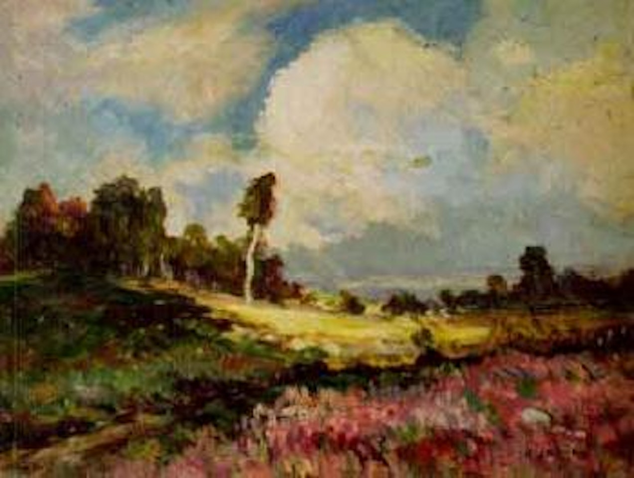 Summer landscape by Karel Langer
