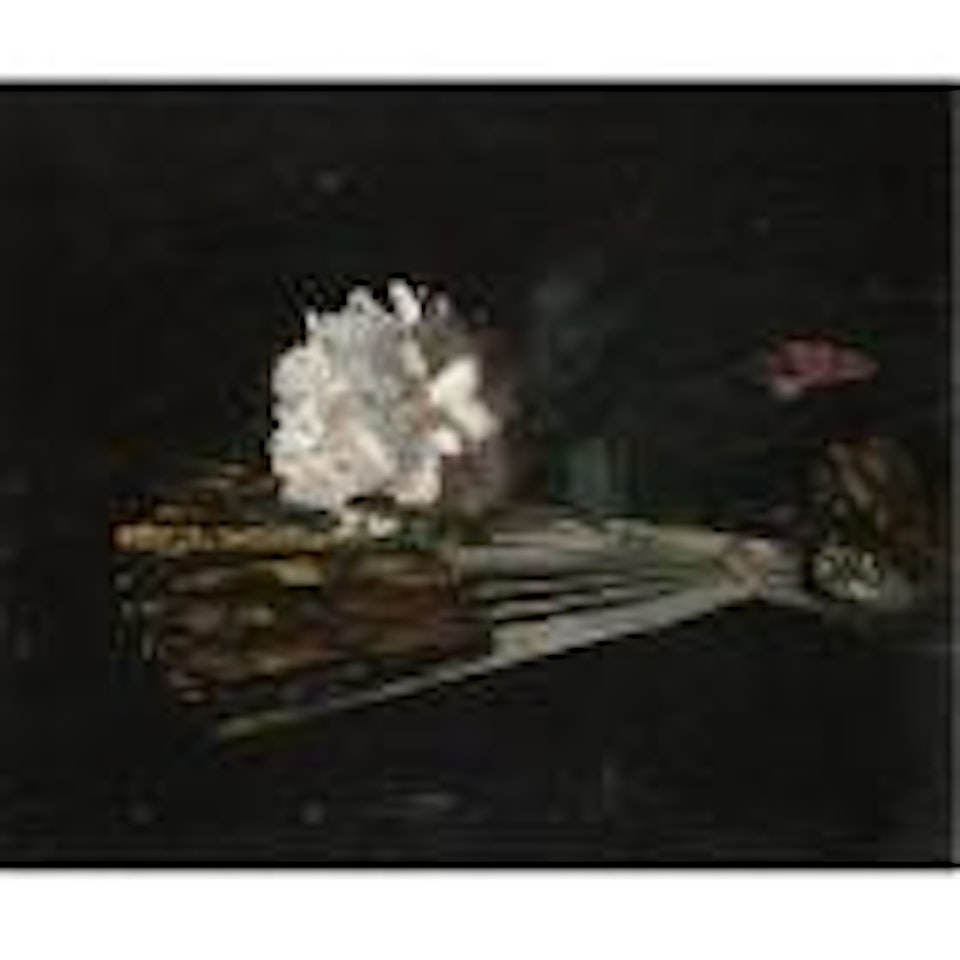 Still life with fan and carnations by George Leslie Hunter