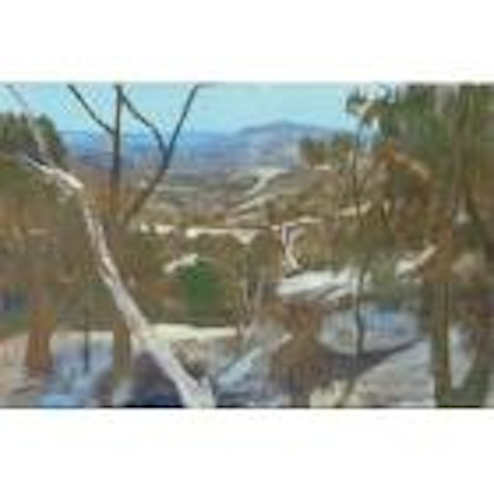North Queensland landscape by Ray Austin Crooke