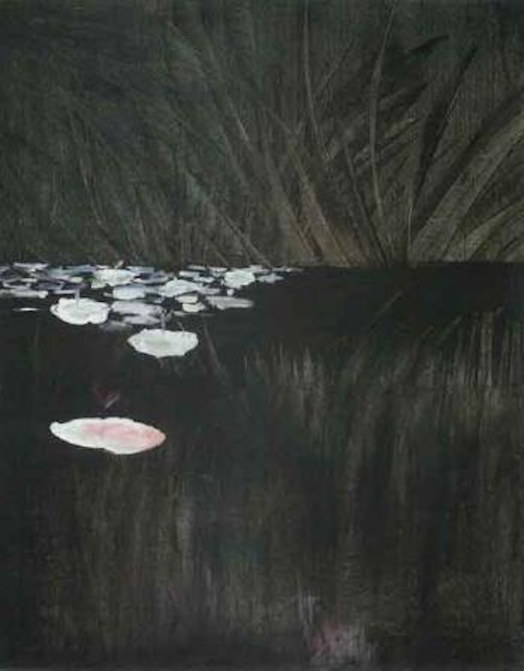 Waterlilies by Sidney Nolan