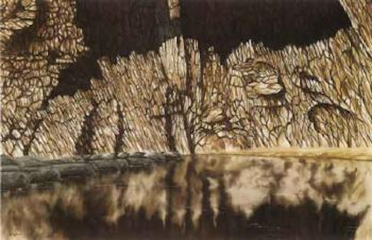 Wall of the Serpentine by Lin Onus