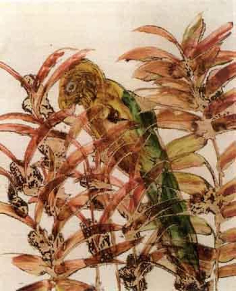 Parrot by Sidney Nolan