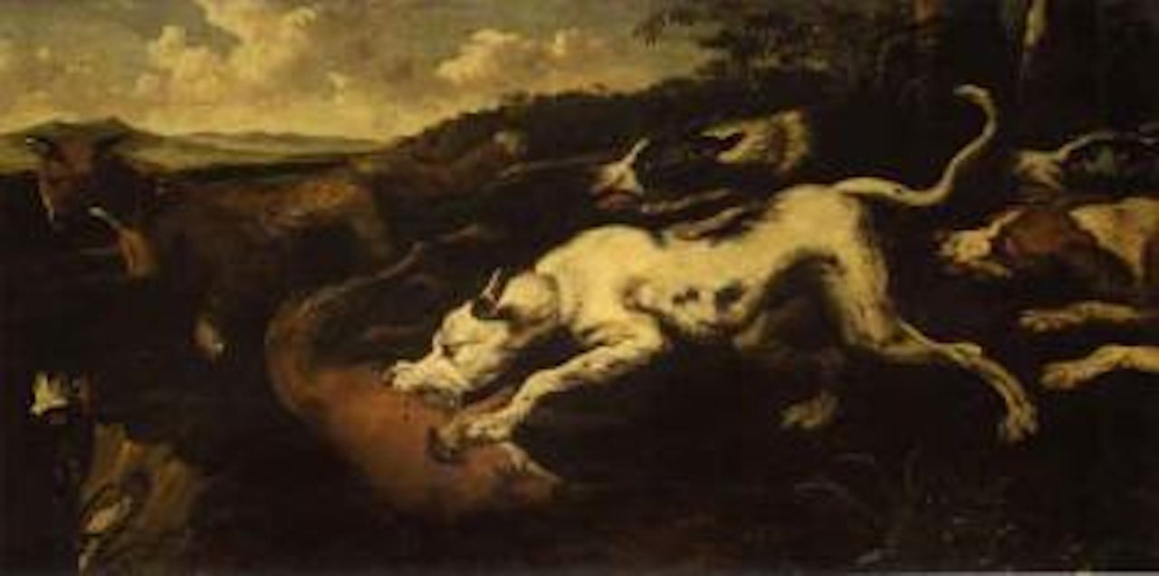 Fight between foxes and dogs by Paul de Vos